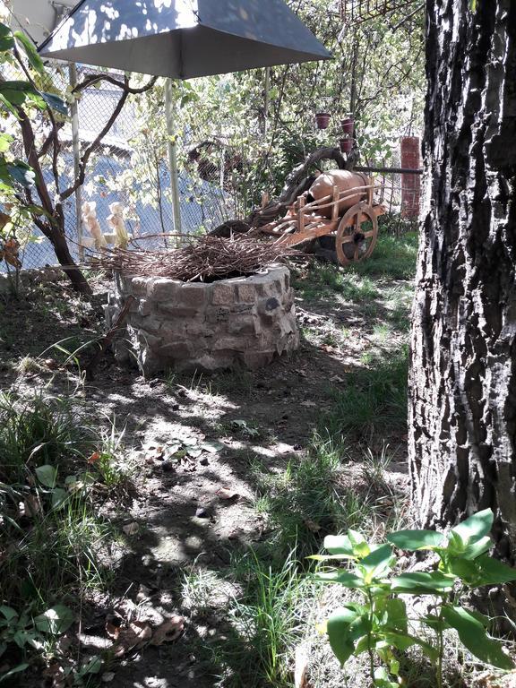 Rachvela'S Guest House Borjomi Dış mekan fotoğraf