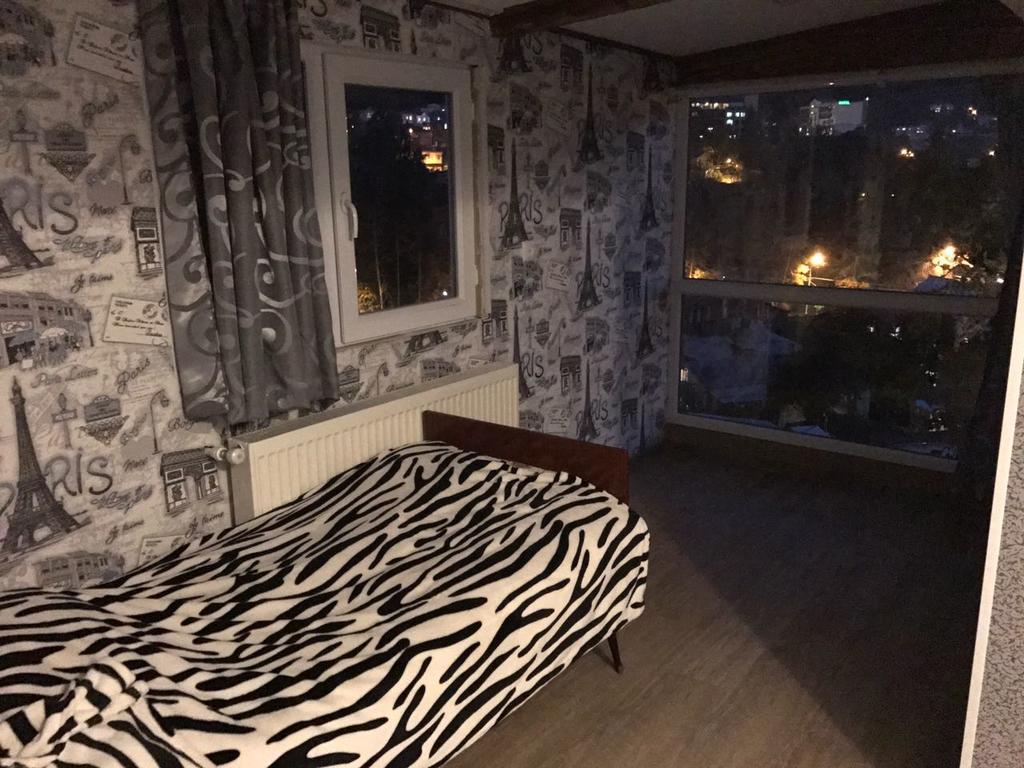 Rachvela'S Guest House Borjomi Dış mekan fotoğraf