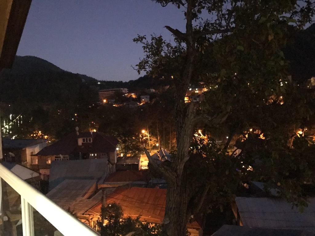 Rachvela'S Guest House Borjomi Dış mekan fotoğraf