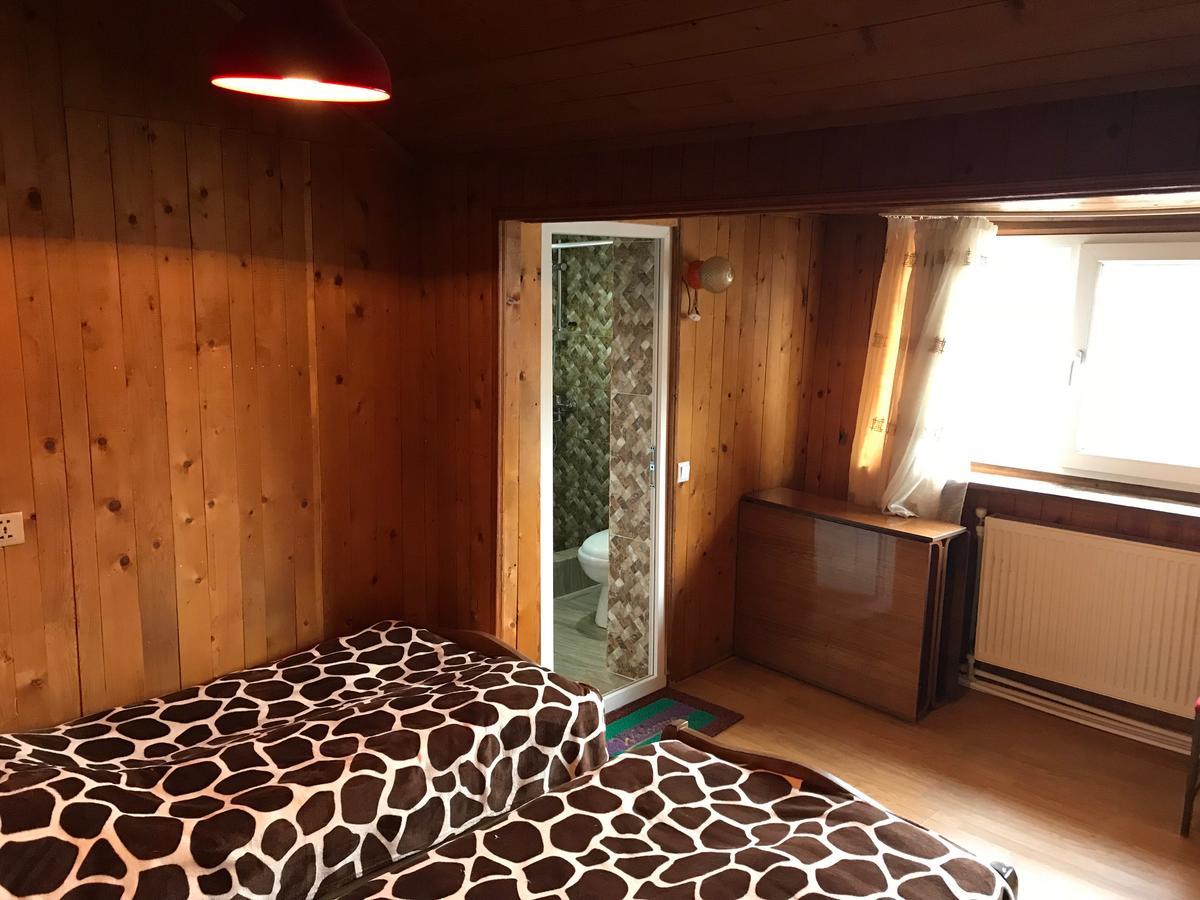 Rachvela'S Guest House Borjomi Dış mekan fotoğraf