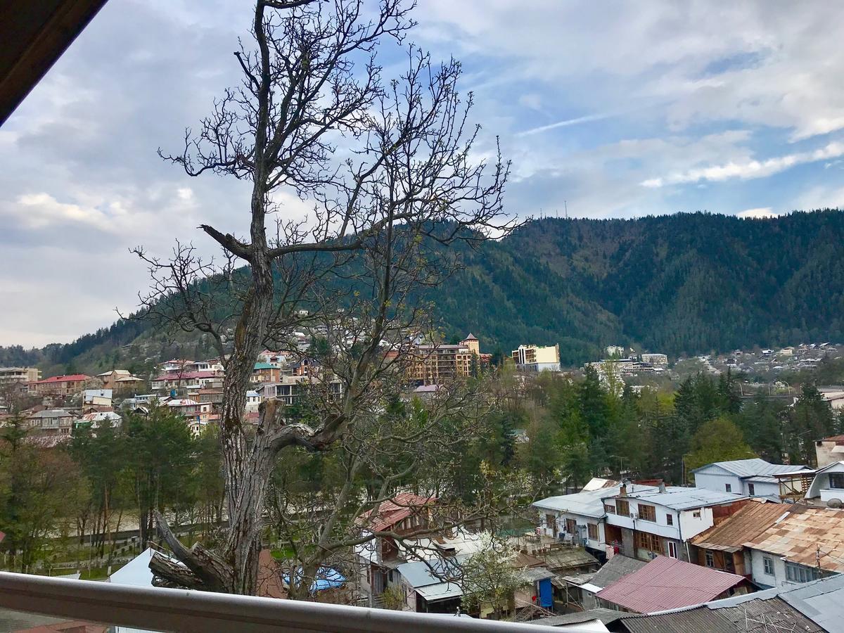 Rachvela'S Guest House Borjomi Dış mekan fotoğraf