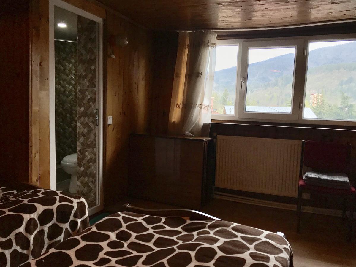 Rachvela'S Guest House Borjomi Dış mekan fotoğraf